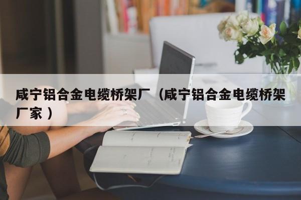 咸寧鋁合金電纜橋架廠（咸寧鋁合金電纜橋架廠家 ）