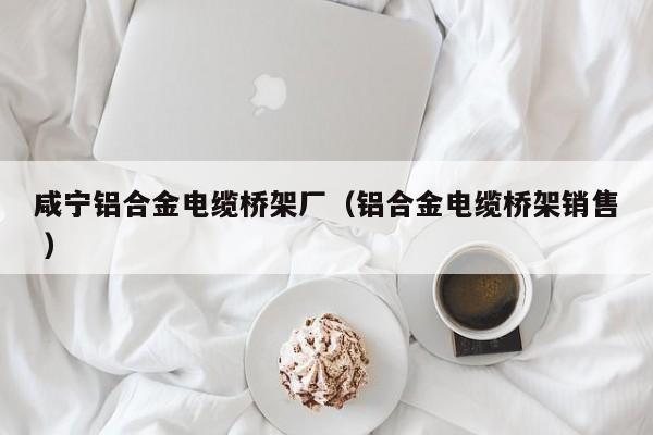 咸寧鋁合金電纜橋架廠（鋁合金電纜橋架銷售 ）