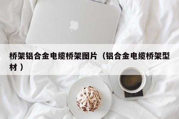 橋架鋁合金電纜橋架圖片（鋁合金電纜橋架型材 ）